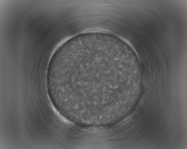 X0000080710995200701121813