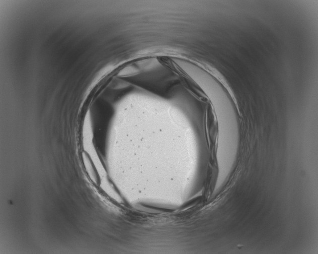 X0000080710997200701121813