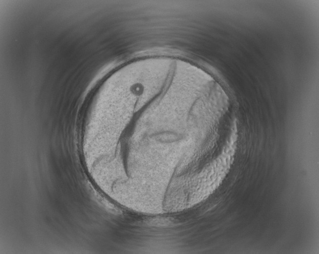 X0000080710998200701121813