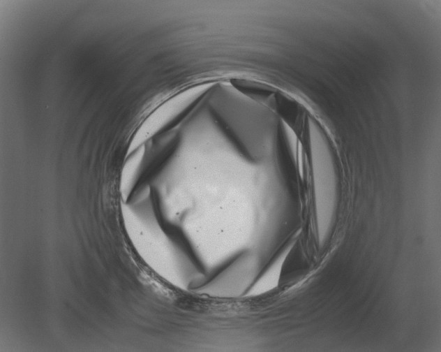 X0000080711001200701121812