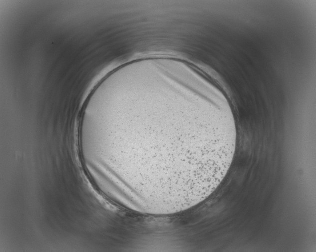 X0000080711006200701121812