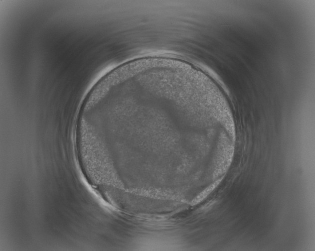 X0000080711007200701121812