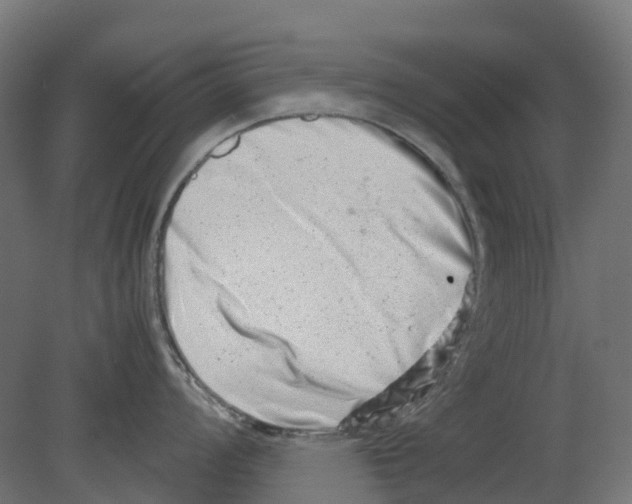 X0000080711008200701121812