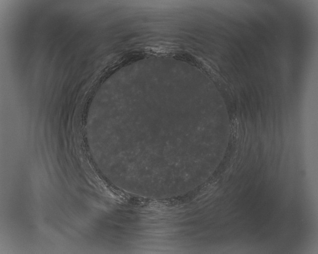 X0000080711009200701121812