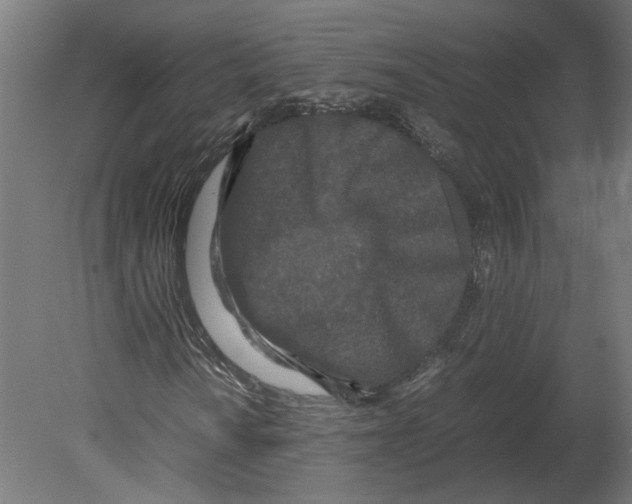 X0000080711010200701121812