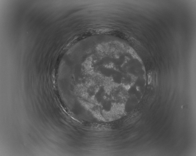 X0000080711011200701121812