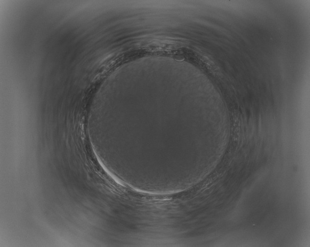 X0000080711013200701121812