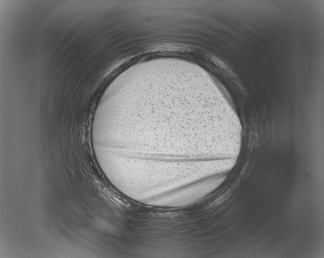 X0000080711017200701121812