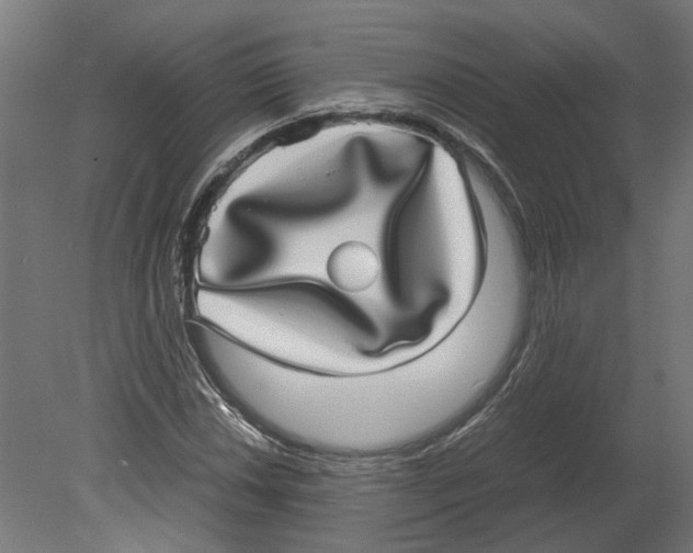 X0000080711018200701121812