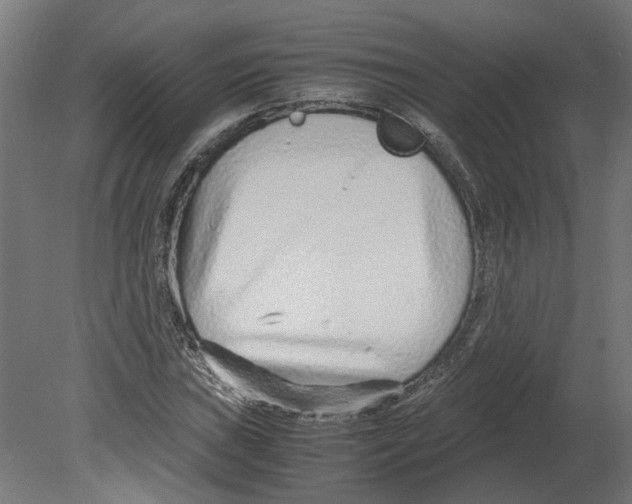 X0000080711019200701121812