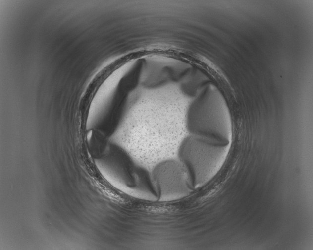 X0000080711021200701121812