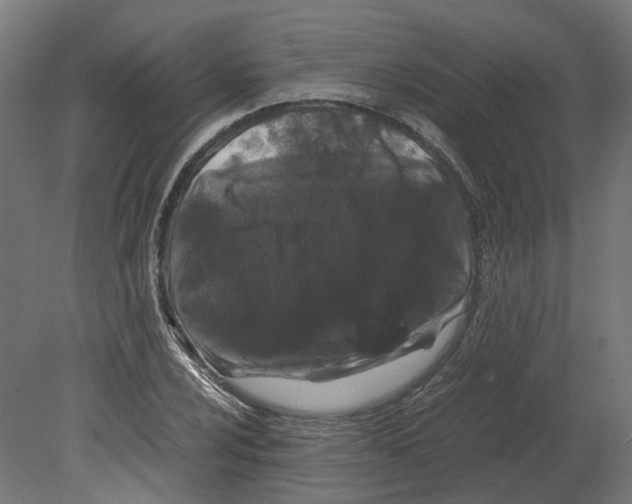 X0000080711024200701121812