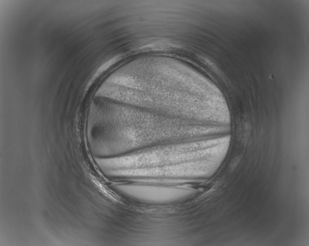 X0000080711026200701121812