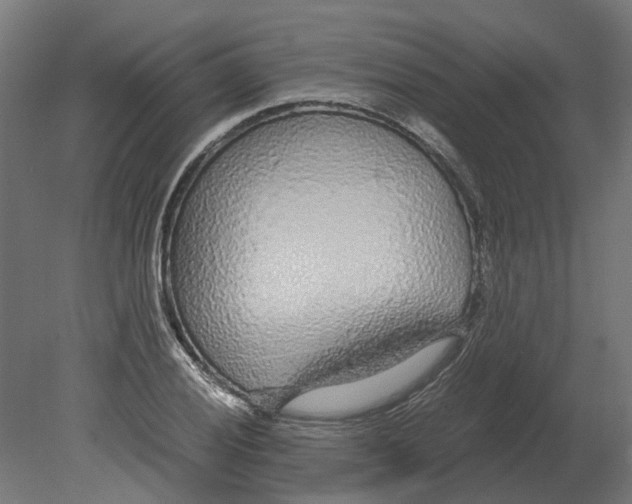 X0000080711028200701121812