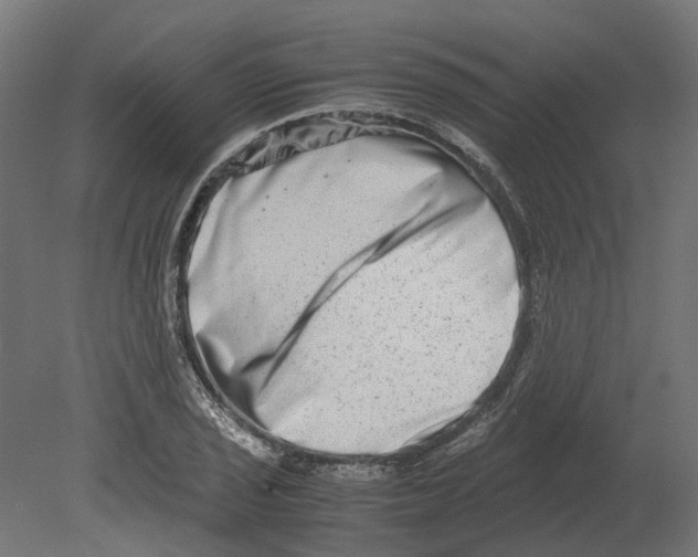 X0000080711029200701121812