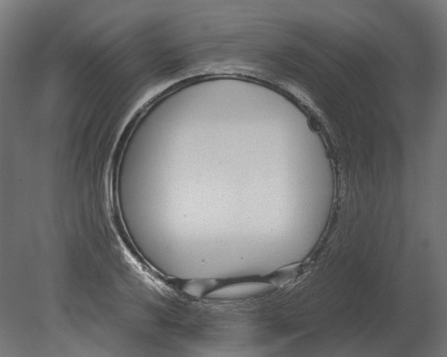 X0000080711032200701121812