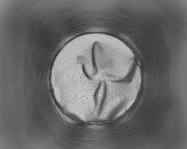 X0000080711033200701121812