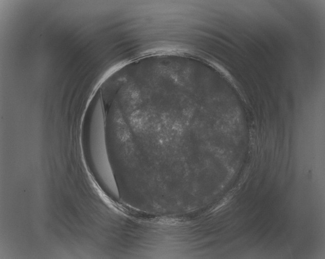 X0000080711034200701121812