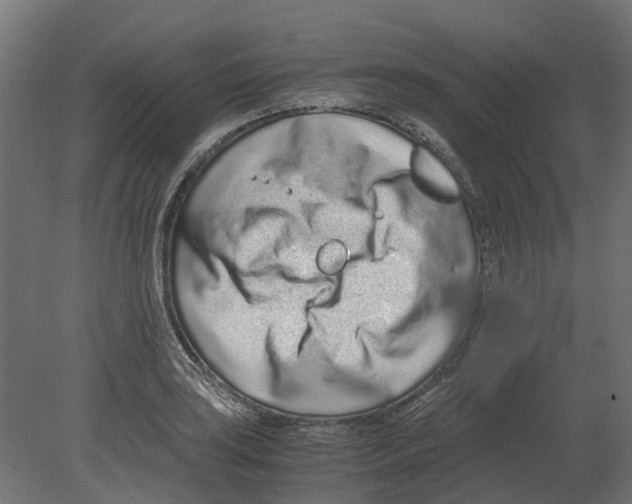 X0000080711035200701121812