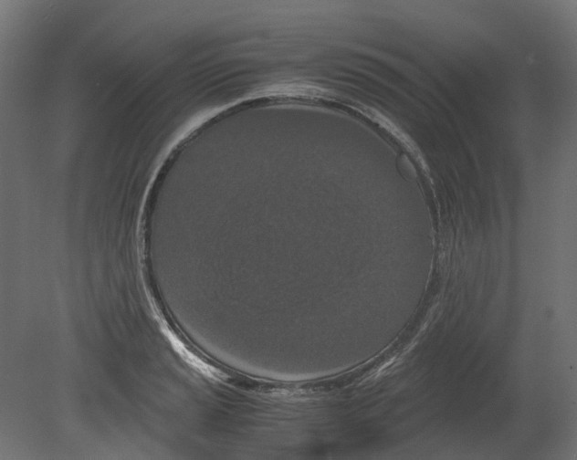 X0000080711037200701121812