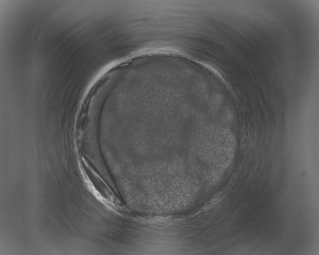 X0000080711038200701121812