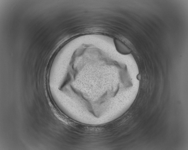 X0000080711039200701121812