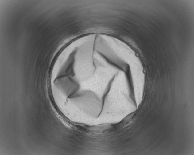 X0000080711040200701121812