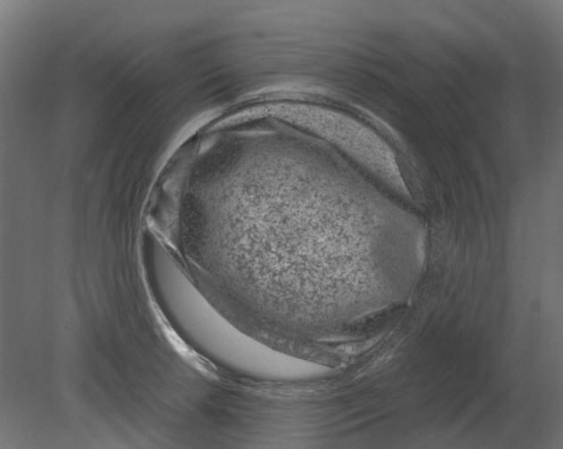 X0000080711042200701121812