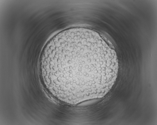 X0000080711044200701121812