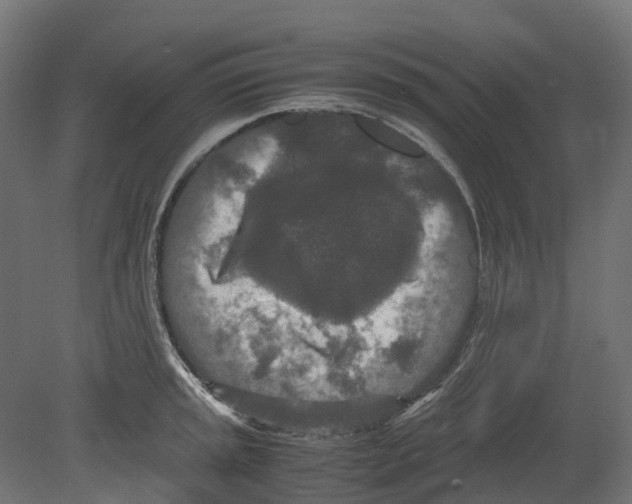 X0000080711045200701121812