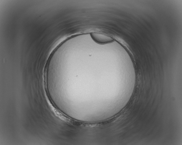 X0000080711047200701121812