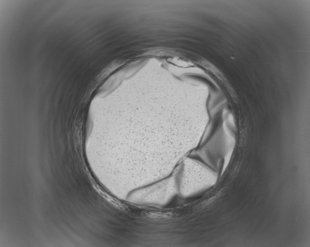 X0000080711049200701121812