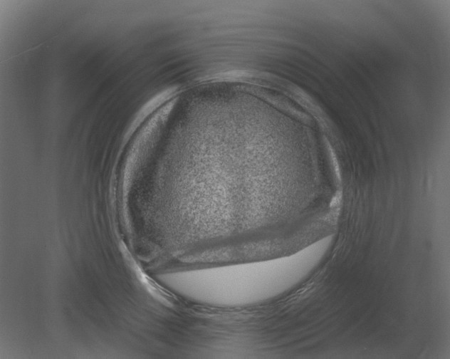 X0000080711050200701121812