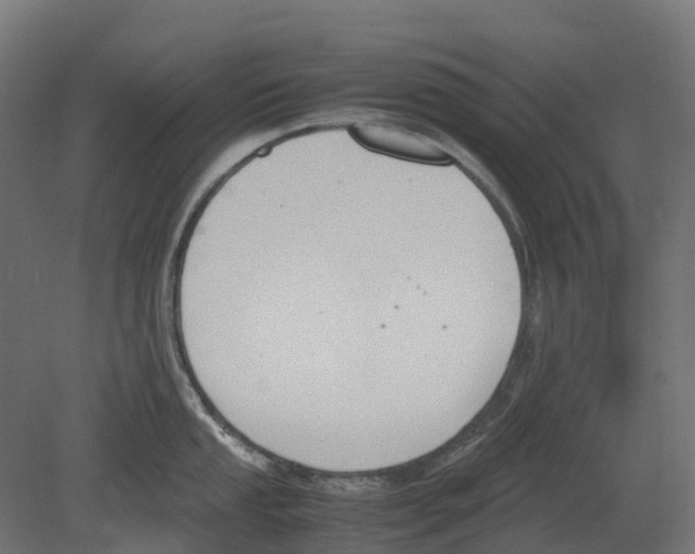 X0000080711053200701121812