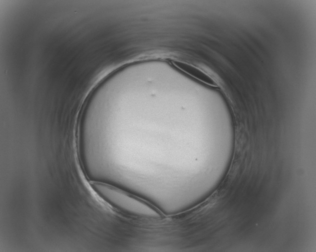 X0000080711055200701121812