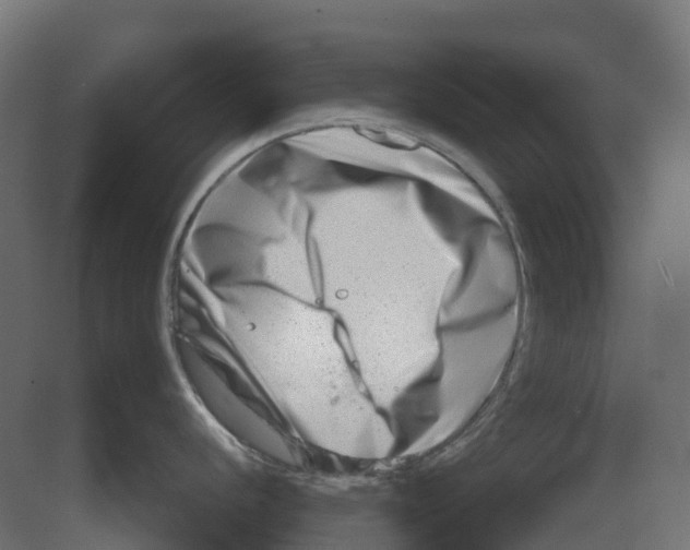 X0000080711056200701121812