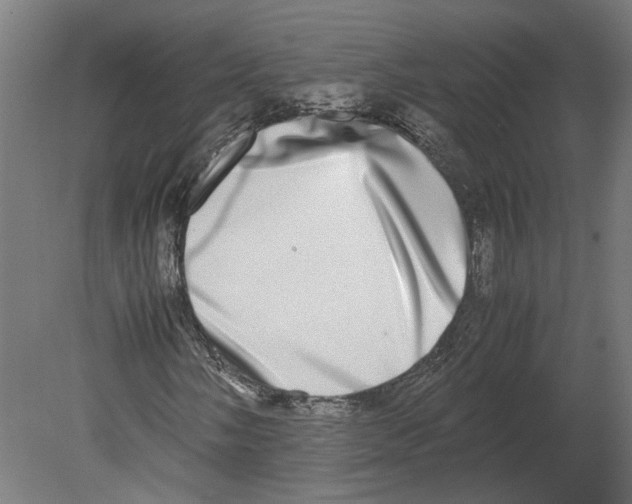 X0000080711058200701121812