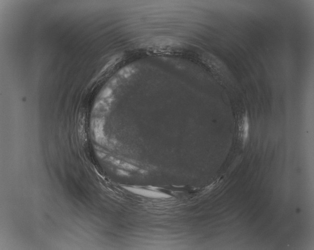 X0000080711060200701121811