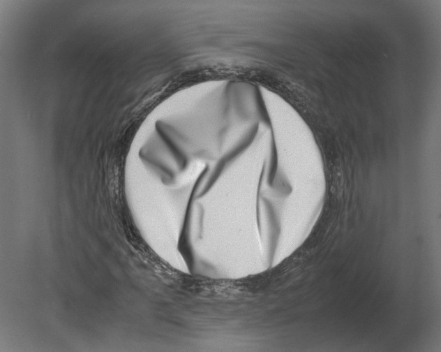 X0000080711061200701121811