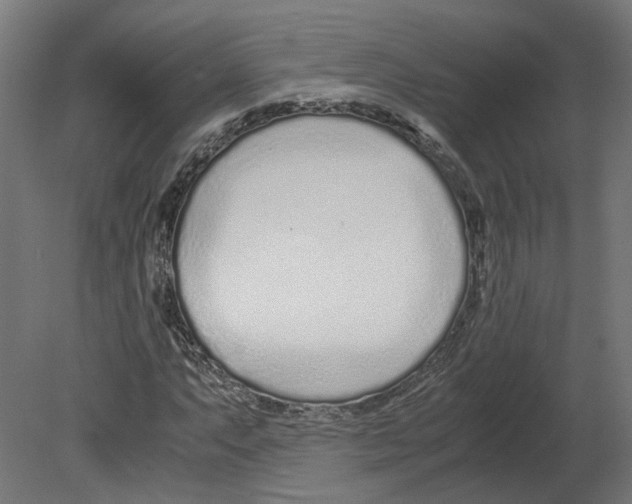 X0000080711063200701121811