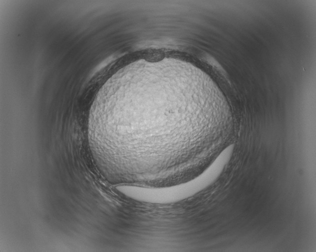 X0000080711064200701121811