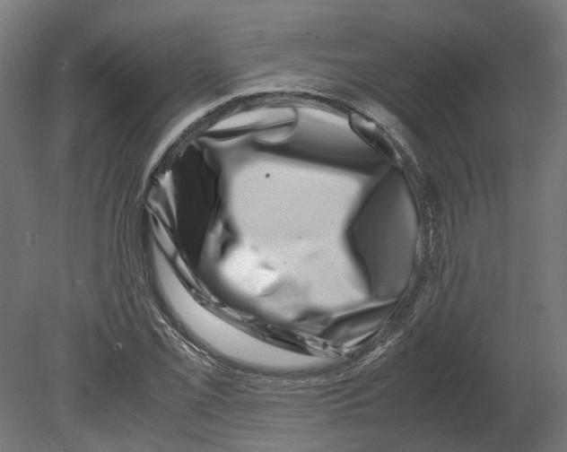 X0000080711069200701121811