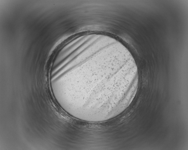 X0000080711070200701121811