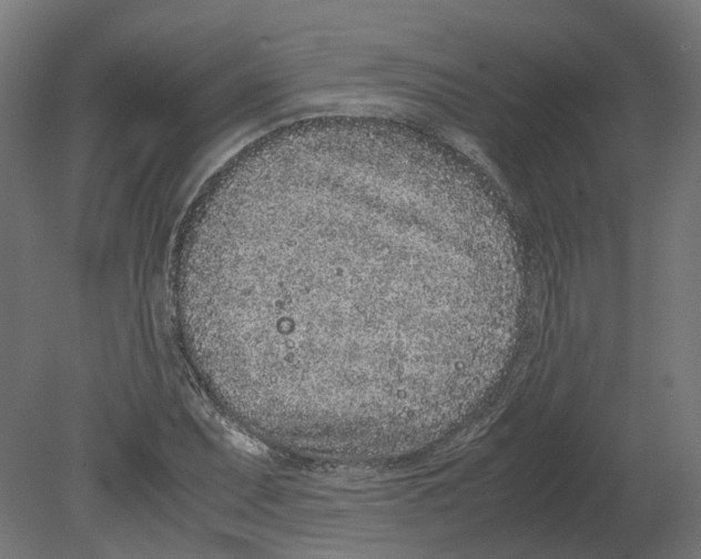 X0000080711071200701121811