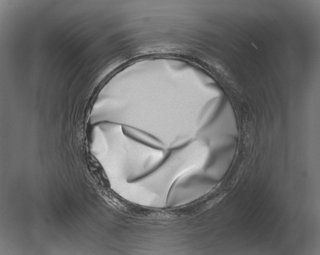 X0000080711073200701121811