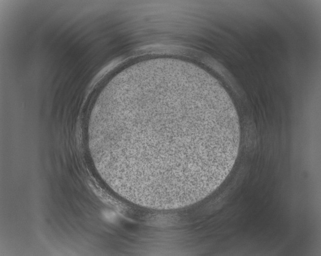 X0000080711074200701121811