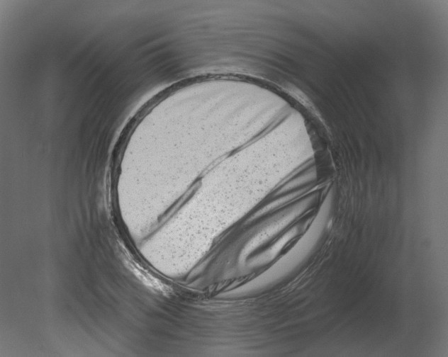 X0000080711076200701121811