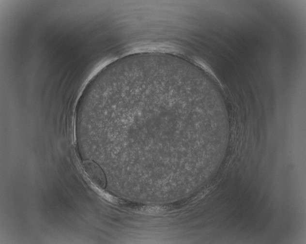 X0000080711079200701121811