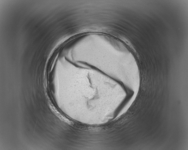 X0000080711080200701121811