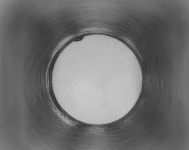 X0000080711082200701121811